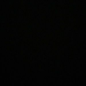 Meet your Posher, Preston